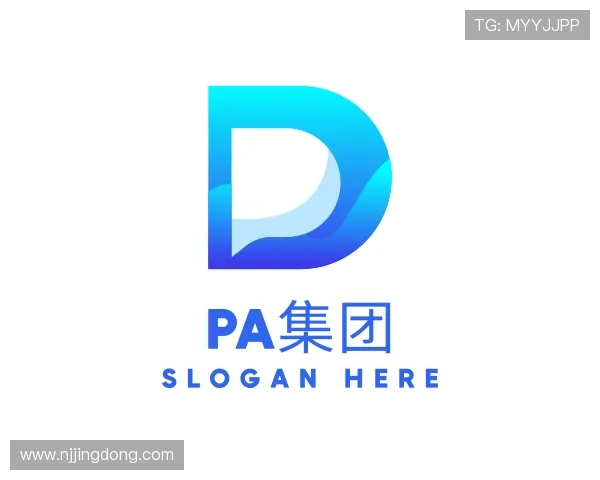 解读PA集团